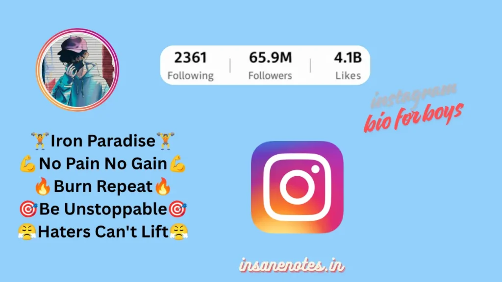 Best Instagram Bio For Boys 