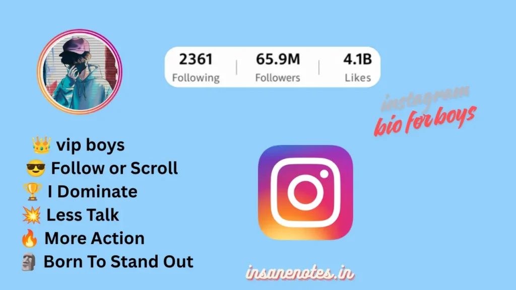Best Instagram Bio For Boys 