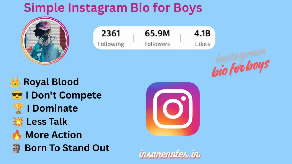 Best Instagram Bio For Boys 